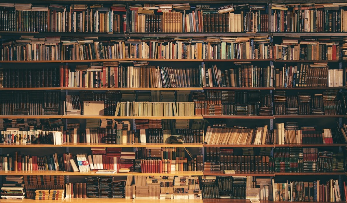 Rayonnages de livres dans une bibliothèque, photographie d’illustration.